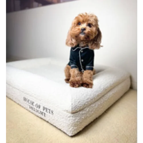 Memory Foam Dog Bed 50x HOPD in Bouclé - Large - Pet Care