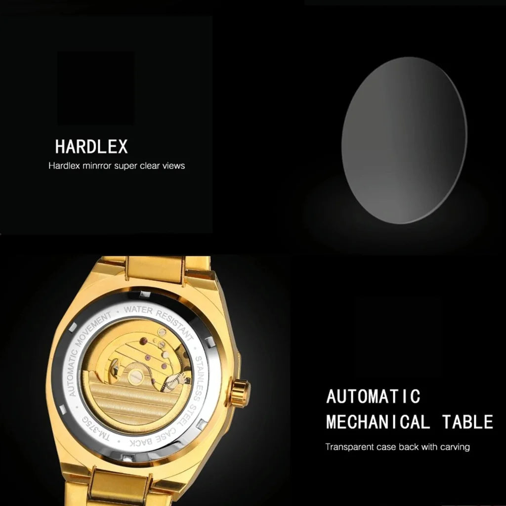 Men Automatic Mechanical Watch with Luminous Dial and Steel