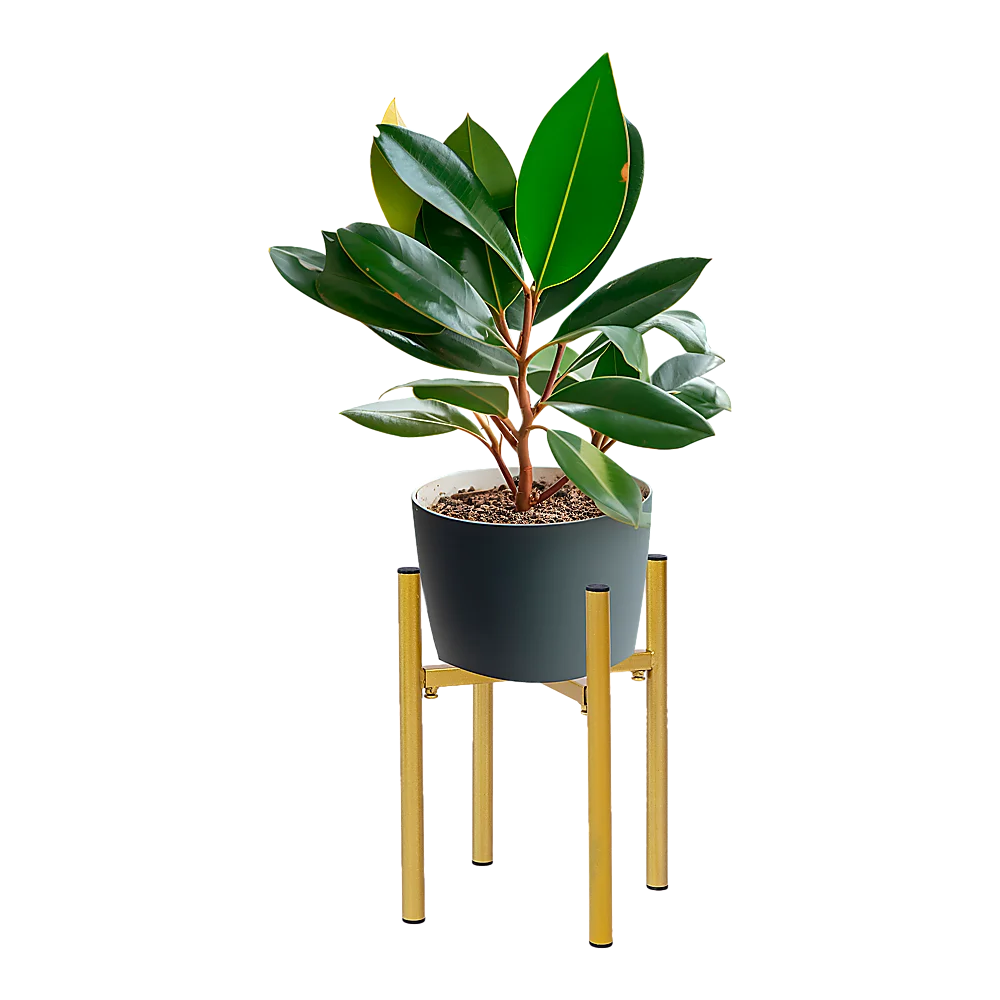 Metal Plant Stand Adjustable Indoor - Home & Garden >