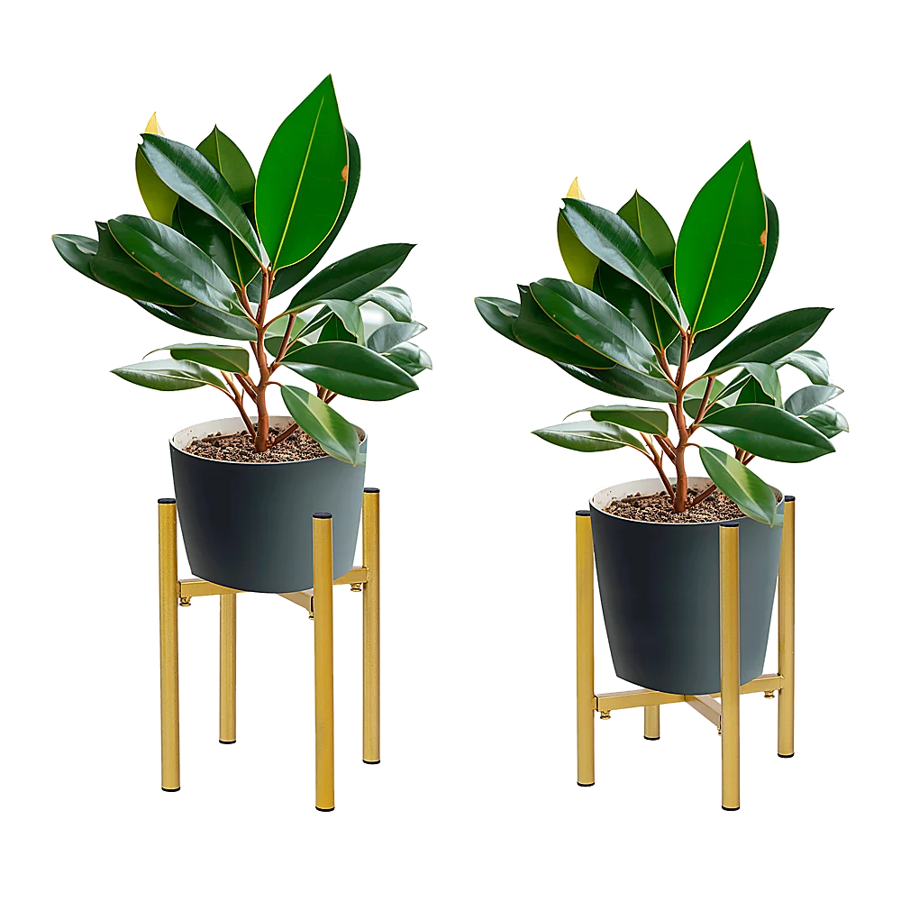 Metal Plant Stand Adjustable Indoor - Home & Garden >