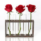 Minimalist Hydroponic Glass Vase with Wooden Frame