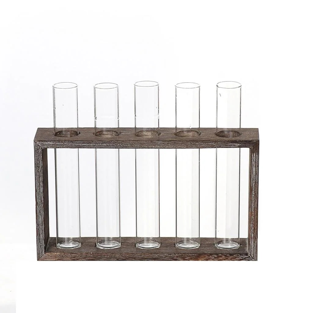 Minimalist Hydroponic Glass Vase with Wooden Frame