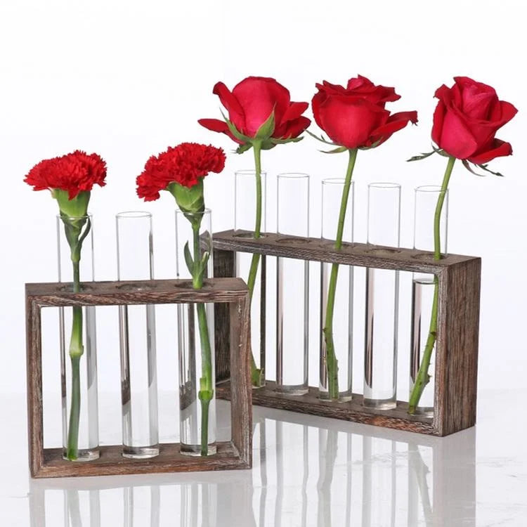 Minimalist Hydroponic Glass Vase with Wooden Frame