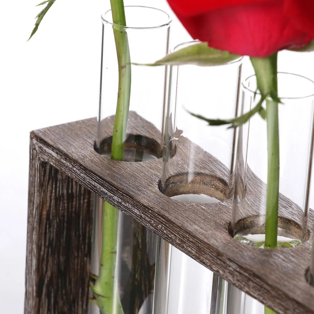 Minimalist Hydroponic Glass Vase with Wooden Frame