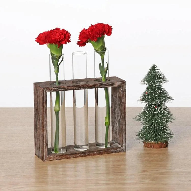 Minimalist Hydroponic Glass Vase with Wooden Frame