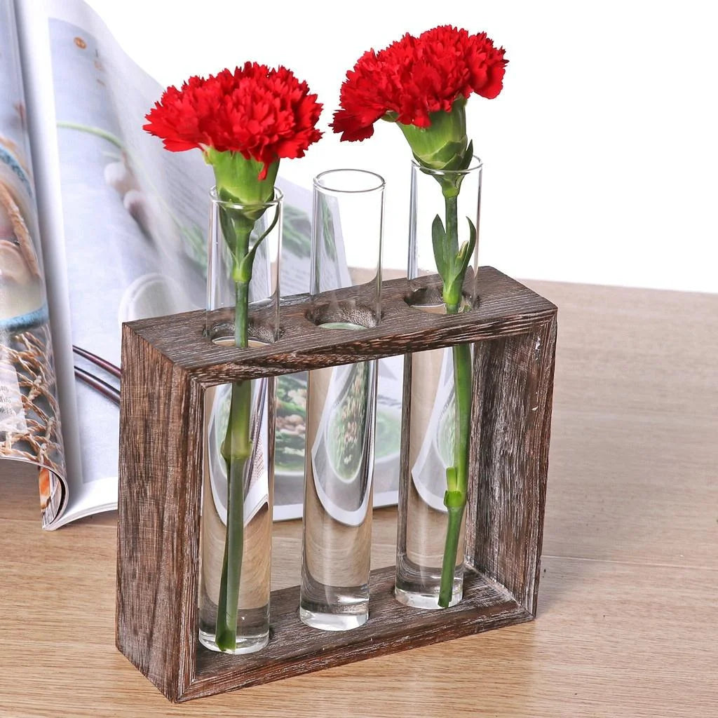 Minimalist Hydroponic Glass Vase with Wooden Frame