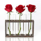 Minimalist Hydroponic Glass Vase with Wooden Frame