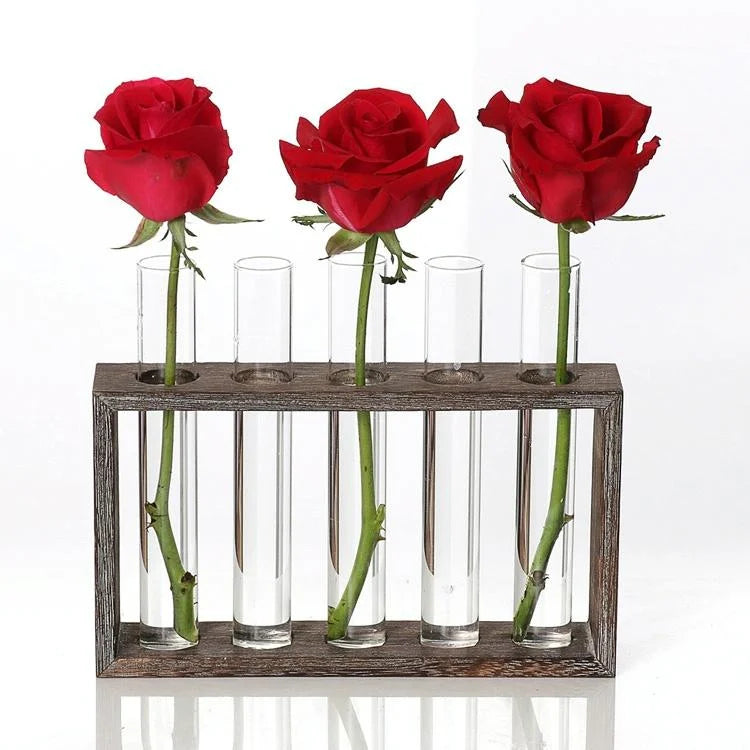 Minimalist Hydroponic Glass Vase with Wooden Frame