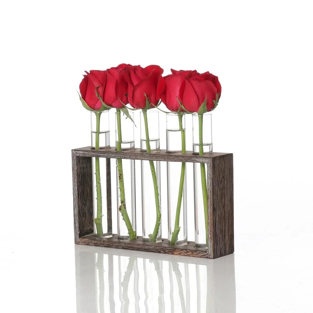 Minimalist Hydroponic Glass Vase with Wooden Frame