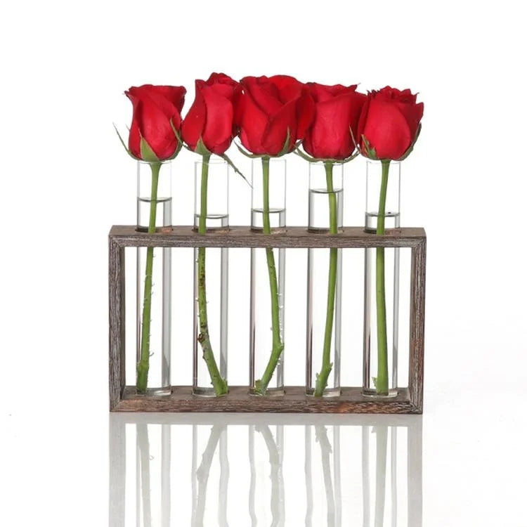 Minimalist Hydroponic Glass Vase with Wooden Frame