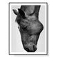 Modern Black Horse Wall Art - Black Frame Canvas 50cm x