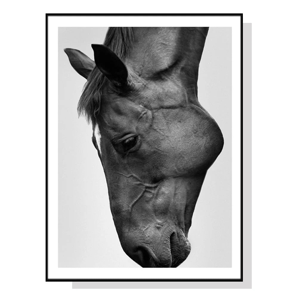 Modern Black Horse Wall Art - Black Frame Canvas 50cm x