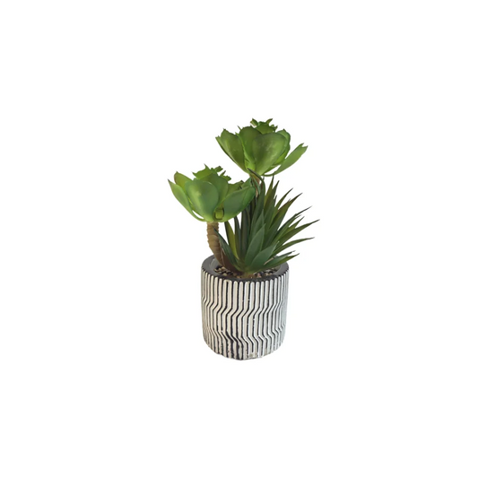 Modern Pot Succulent Plant - Home & Garden > Artificial