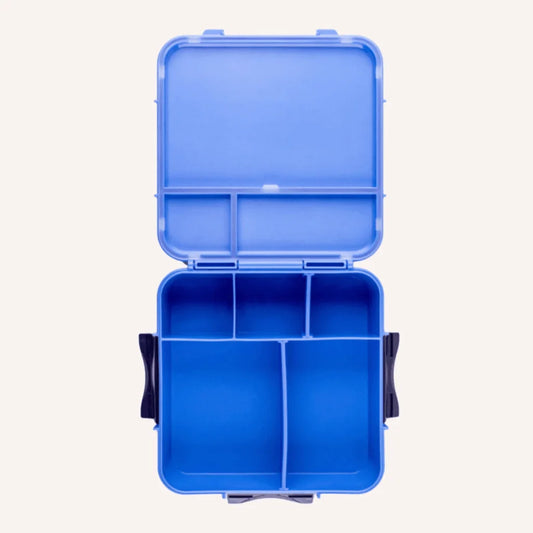 MONTII.CO Bento Plus | Blueberry-1973194229744275457