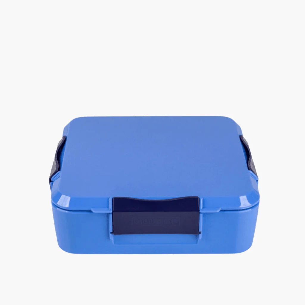 MONTII.CO Bento Plus | Blueberry-1973194229744275456