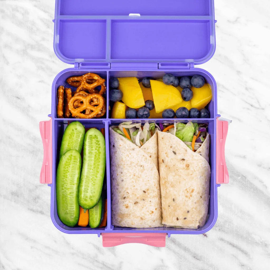 MONTII.CO Bento Plus | Grape-1973194230125957124