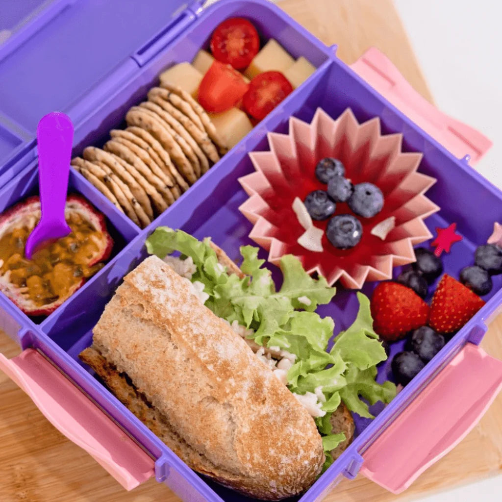 MONTII.CO Bento Plus | Grape-1973194230125957123