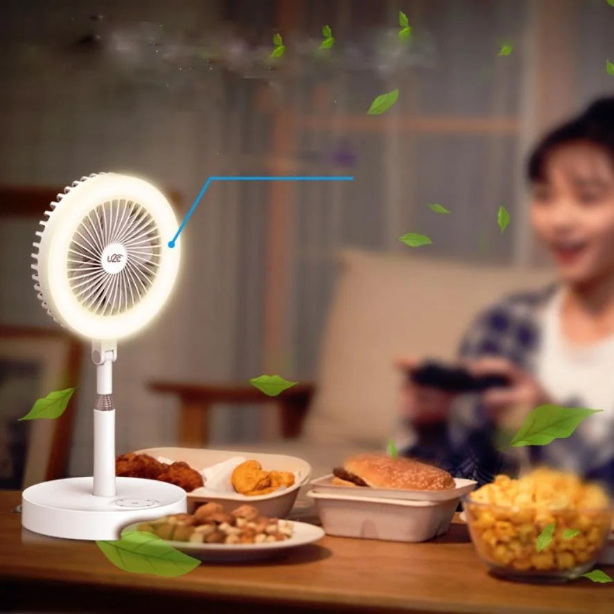 Multi-function Rechargeable Fan Lamp with Telescopic