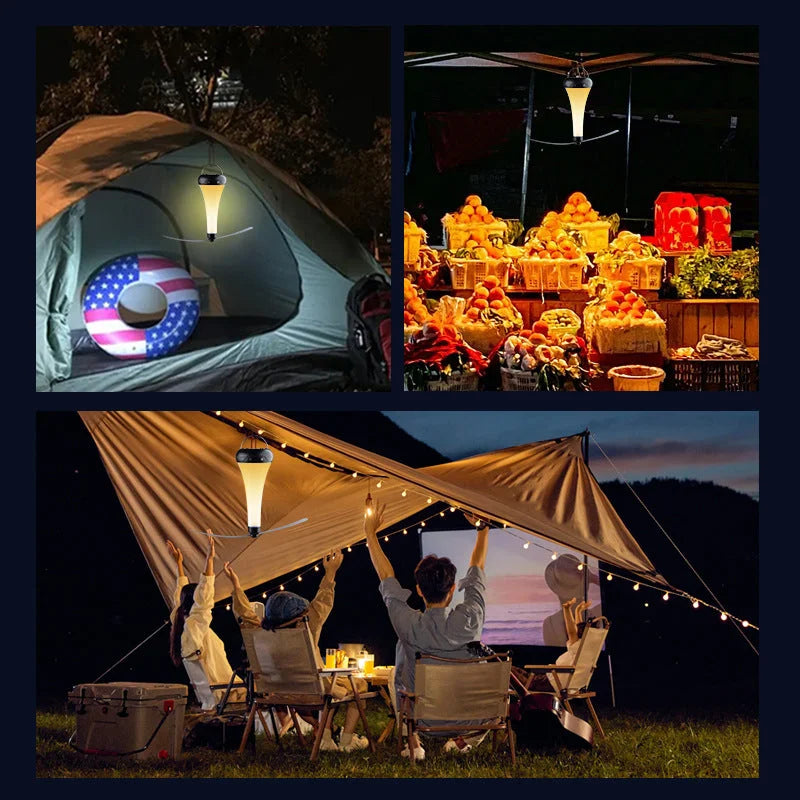 Multifunctional Fly Repeller Fan with LED Light