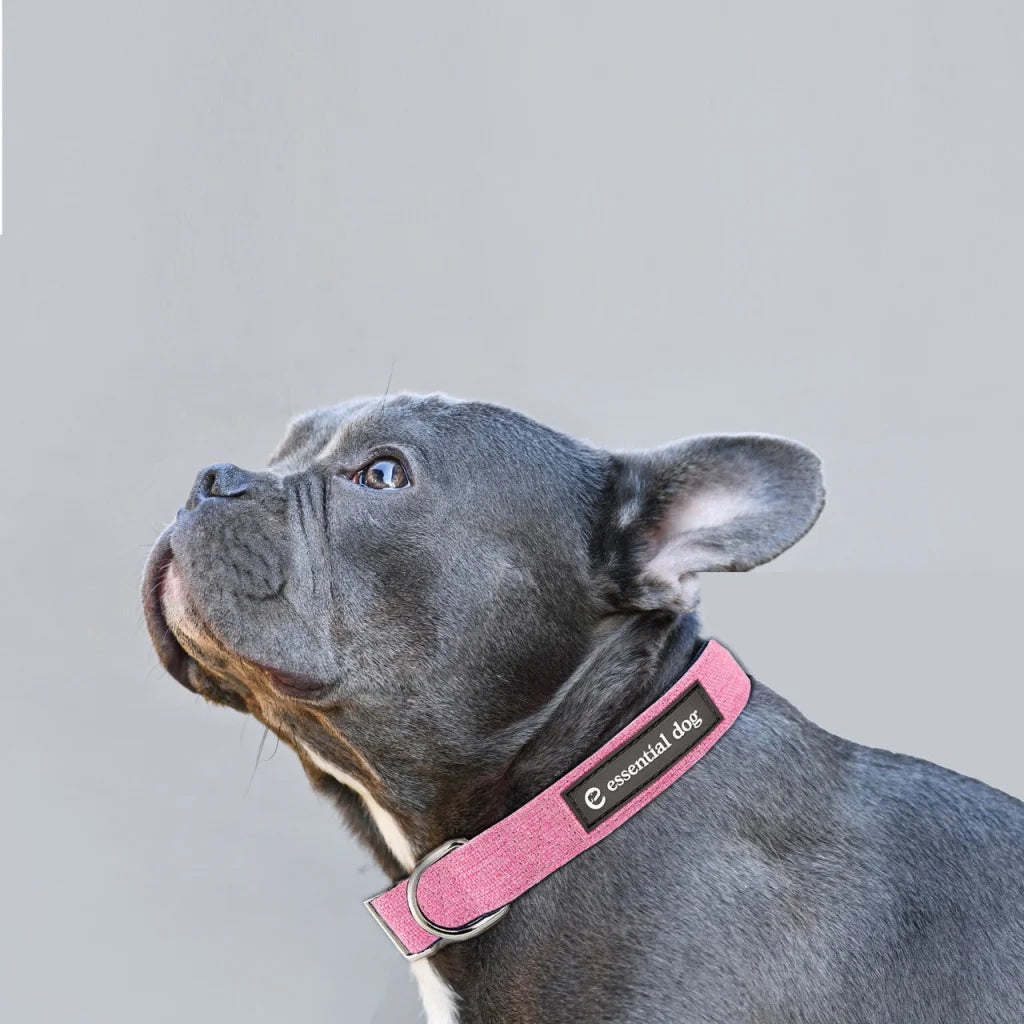 Natural Hemp & Cotton Dog Collar (Pretty Pink) LARGE - Pet