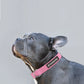 Natural Hemp & Cotton Dog Collar (Pretty Pink) SMALL - Pet