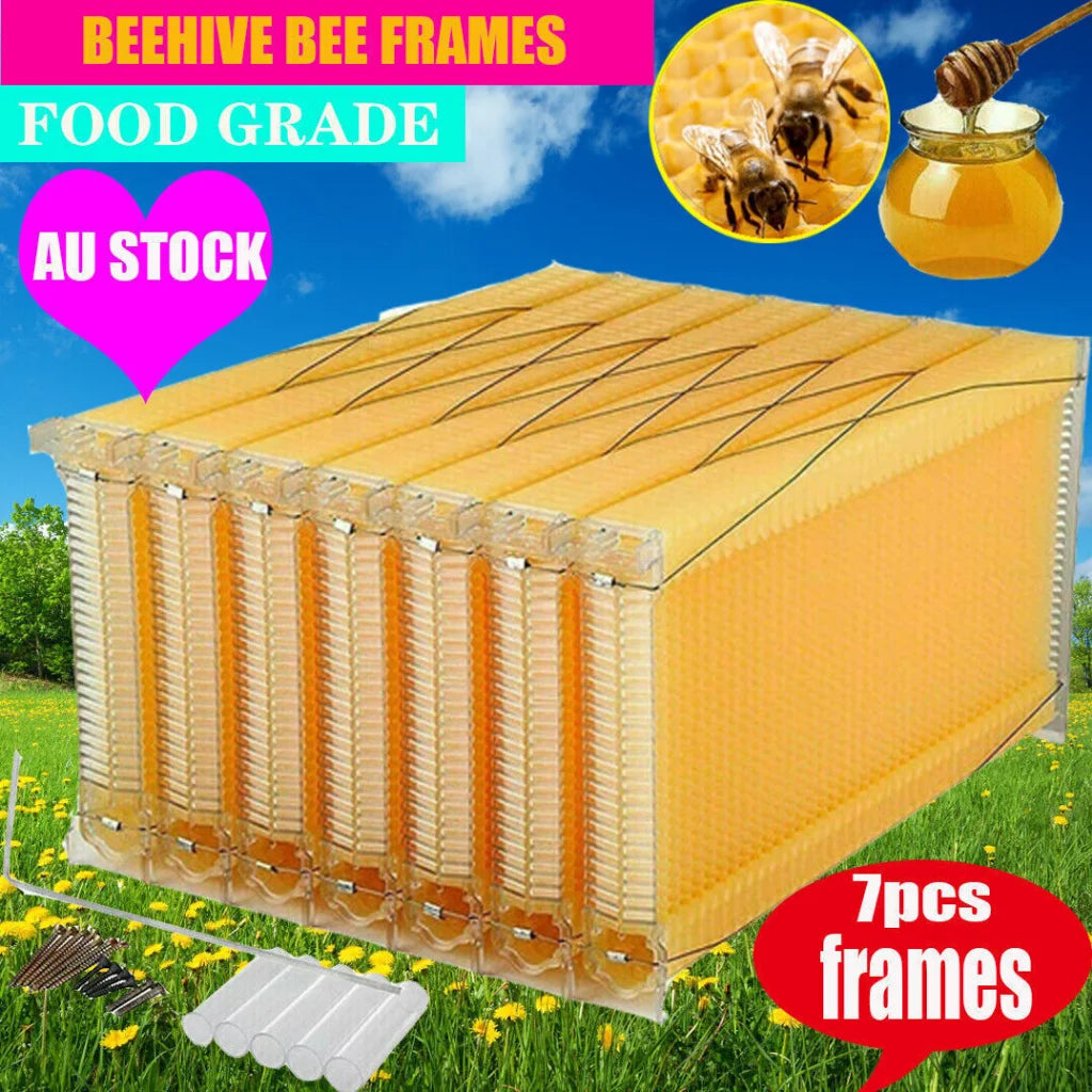 Neweast 7Pcs Flow Bee Comb Hive Frames For Wooden