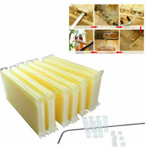 Neweast 7Pcs Flow Bee Comb Hive Frames For Wooden