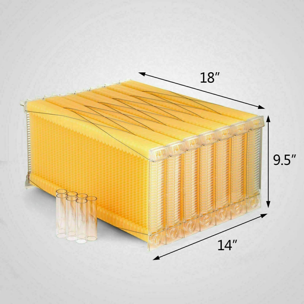 Neweast 7Pcs Flow Bee Comb Hive Frames For Wooden