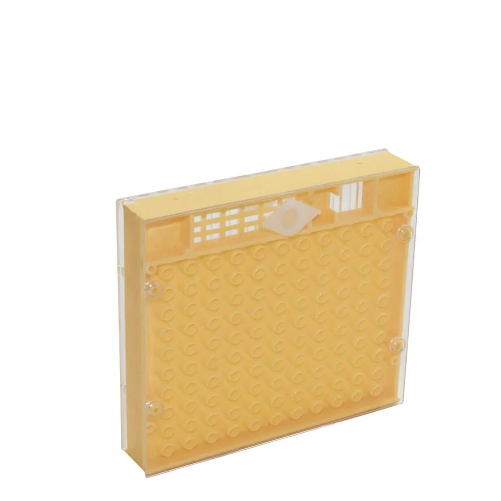 Nicot Queen Bee Rearing System Kit Deluxe Complete Marking
