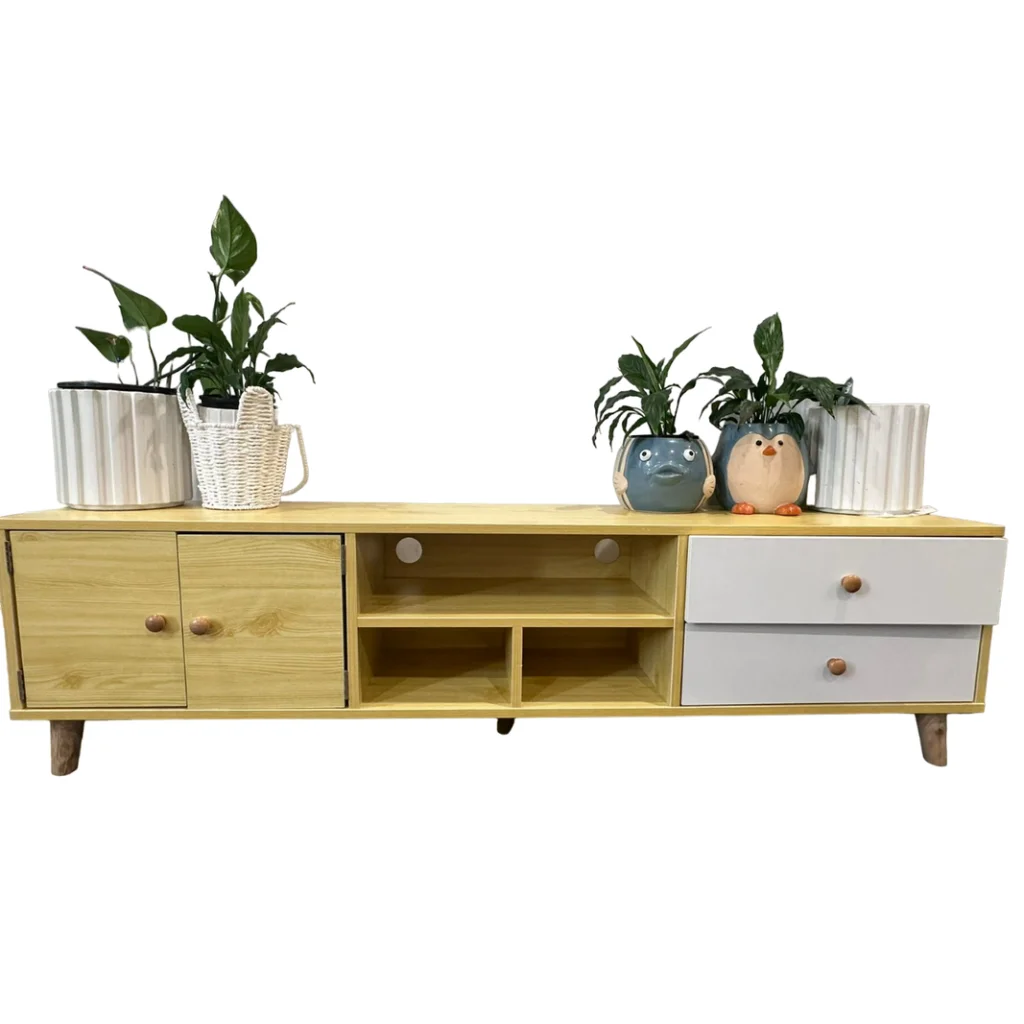 NNECN Two-Doors Two-Drawers Wooden TV Cabinet - Furniture >