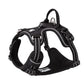 No Pull Harness - Black (M)