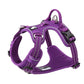 No Pull Harness - Purple (M)