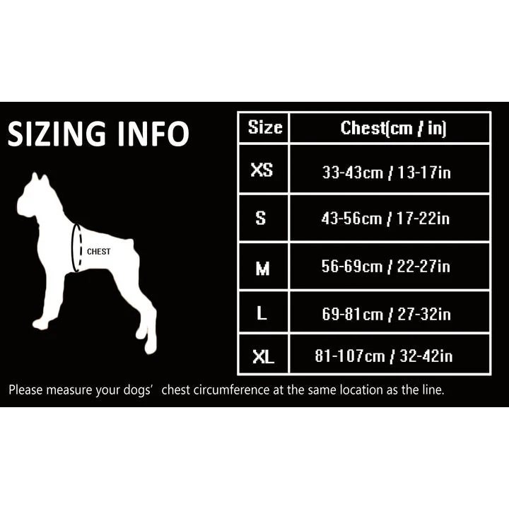 No Pull Harness - Purple (S)