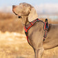 No Pull Harness - Red (L)