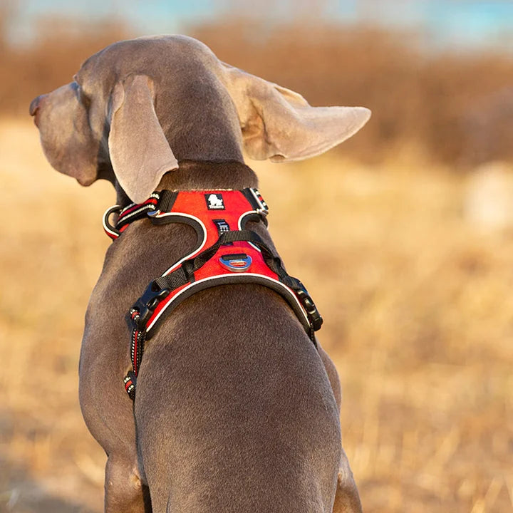No Pull Harness - Red (M)