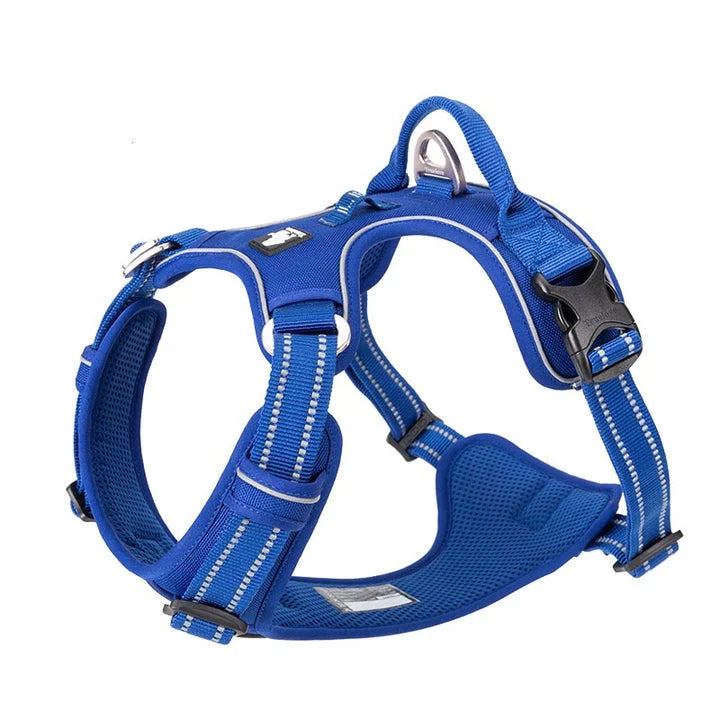No Pull Harness - Royal Blue (XL)