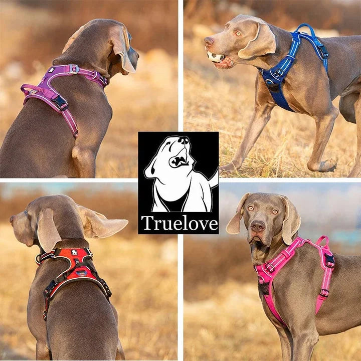 No Pull Harness - Royal Blue (XS)