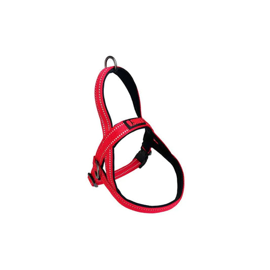 Norwegian Harness KONG Red - Small - Sports & Fitness