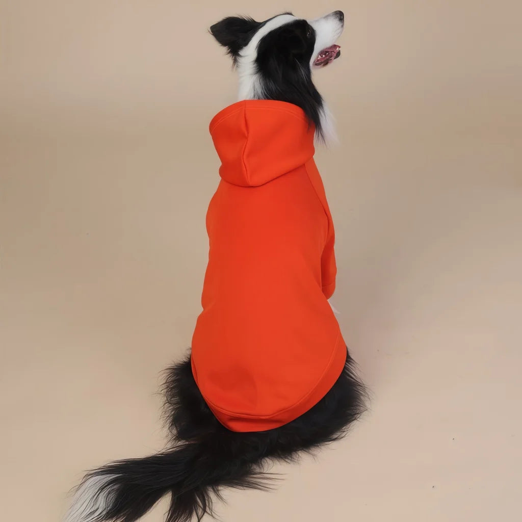 Orange Classic Dog Sweatshirt with Hood & Drawstrings