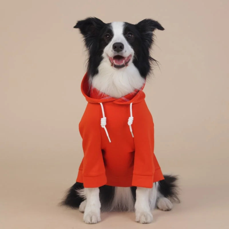 Orange Classic Dog Sweatshirt with Hood & Drawstrings