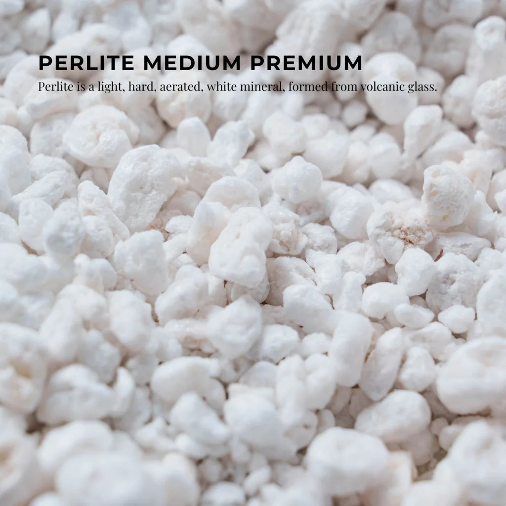 Organic Perlite Medium 50L - Premium Soil Expanded Plant
