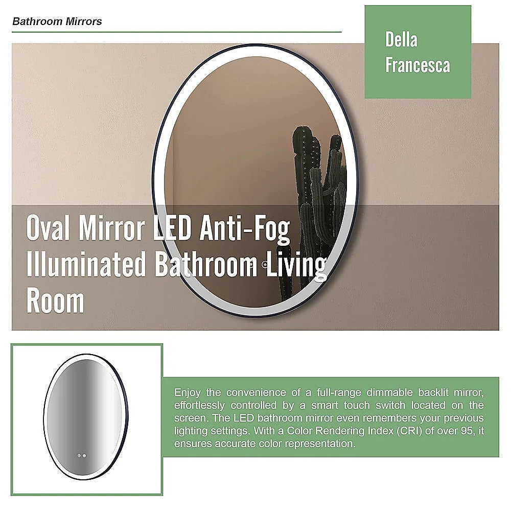 Oval Mirror LED Anti-Fog Illuminated Bathroom Living Room