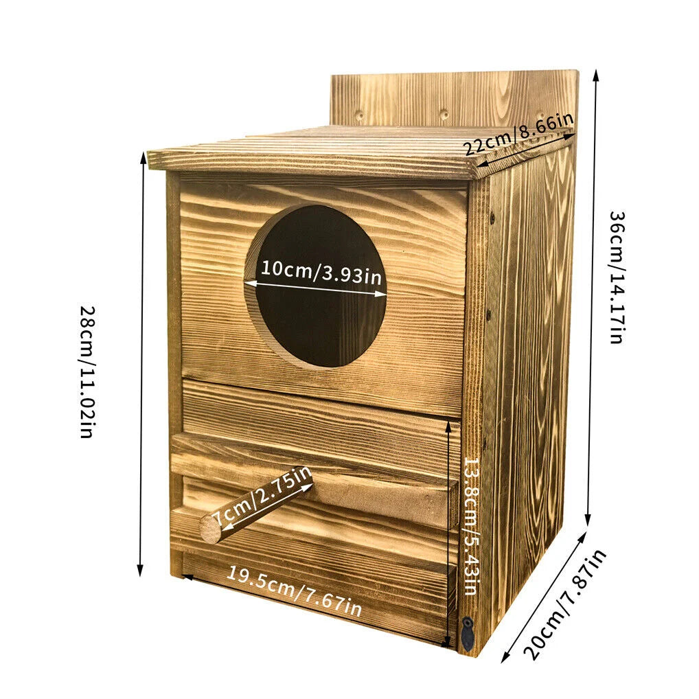 Owl Nesting Box Bird Feeder Paulownia Wood Acrylic - Home &