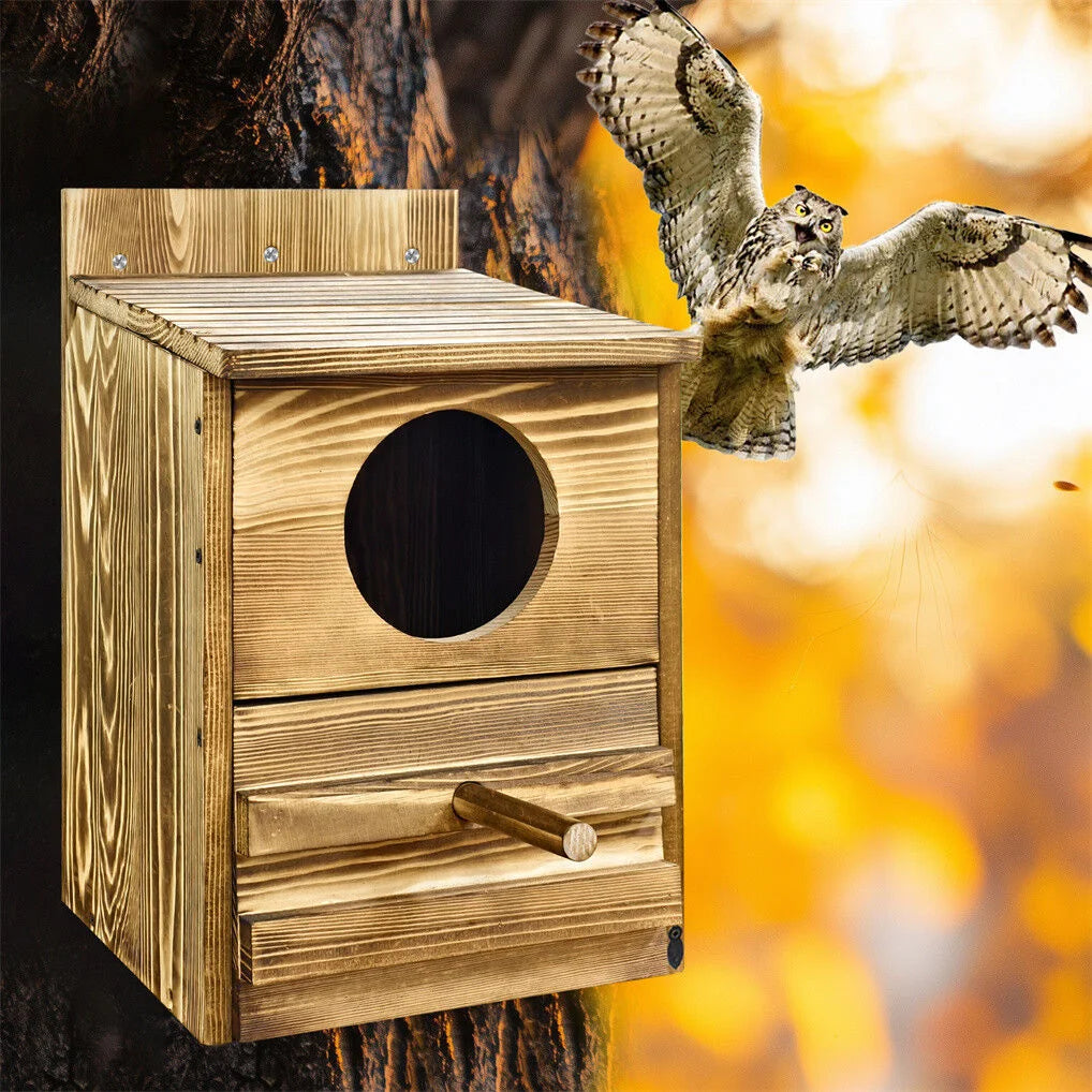 Owl Nesting Box Bird Feeder Paulownia Wood Acrylic - Home &