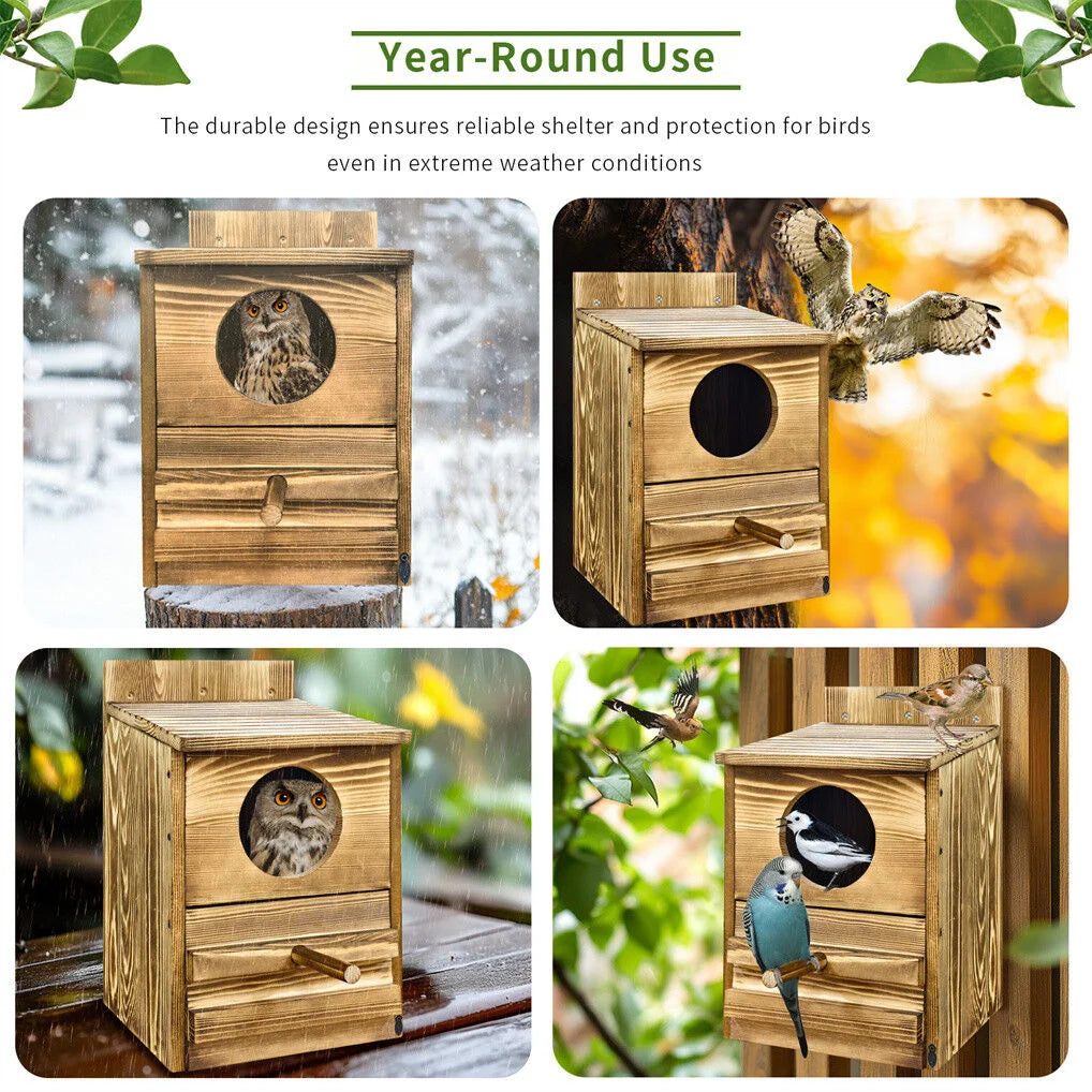 Owl Nesting Box Bird Feeder Paulownia Wood Acrylic - Home &