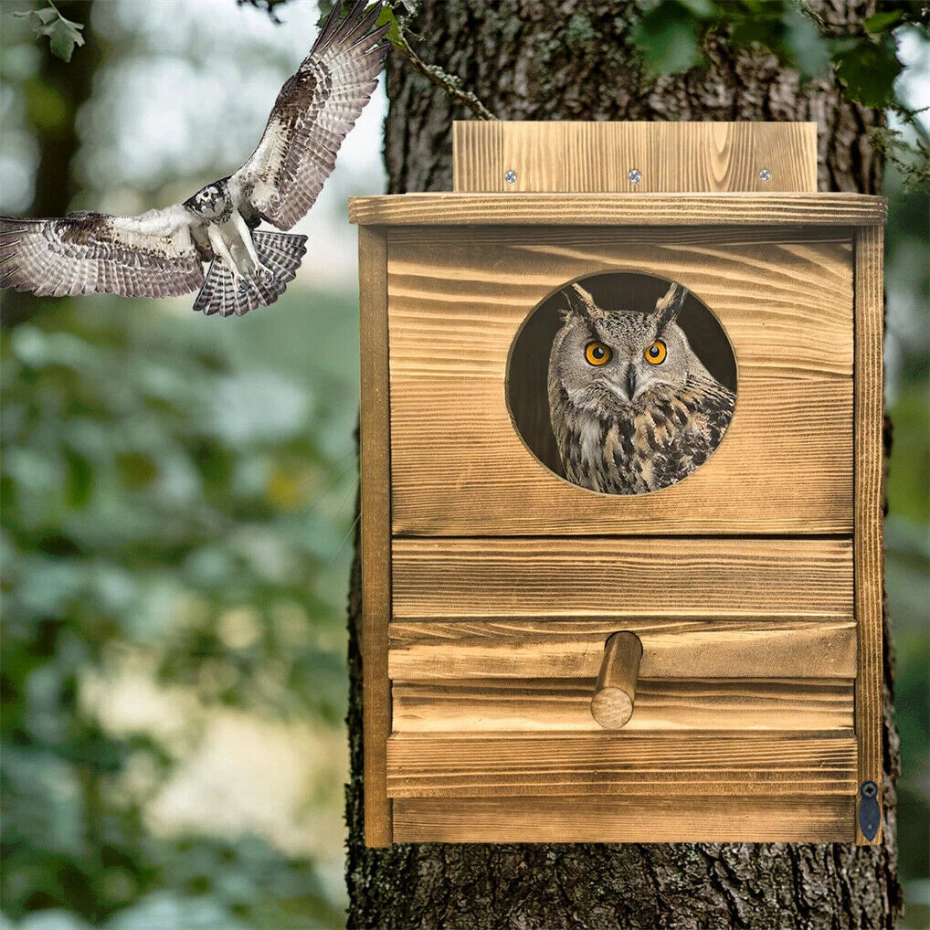Owl Nesting Box Bird Feeder Paulownia Wood Acrylic - Home &