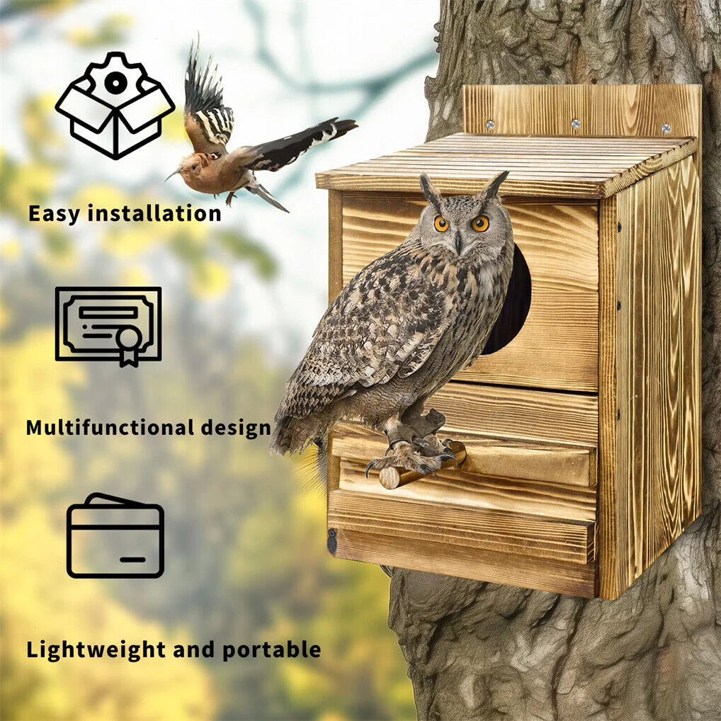 Owl Nesting Box Bird Feeder Paulownia Wood Acrylic - Home &
