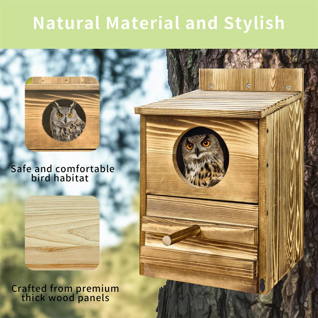Owl Nesting Box Bird Feeder Paulownia Wood Acrylic - Home &