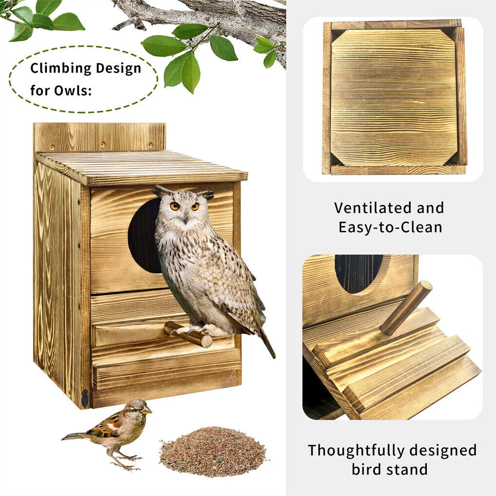 Owl Nesting Box Bird Feeder Paulownia Wood Acrylic - Home &