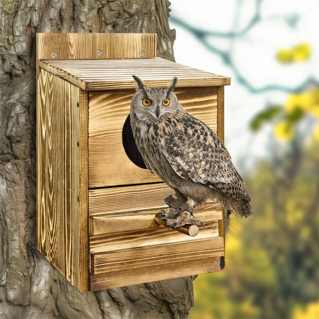 Owl Nesting Box Bird Feeder Paulownia Wood Acrylic - Home &